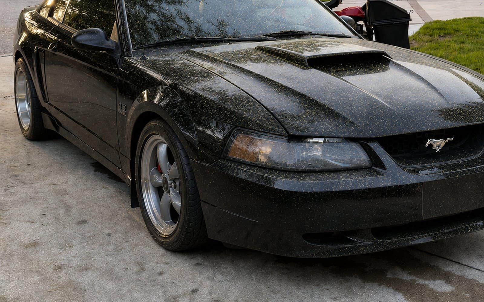 Before